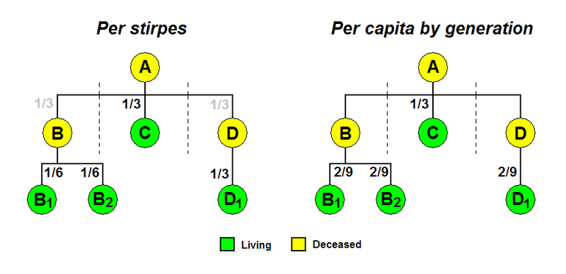 Lure fake near What is the Difference Between Per Stirpes and Per Capita Distribution?
